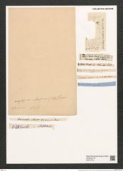 Grammatophora islandica Ehr. (de-Toni-Nr.: Genus 93, Species 3042) Zeichnungen Sammlung Grunow (NHMW-BOT-W0374733)